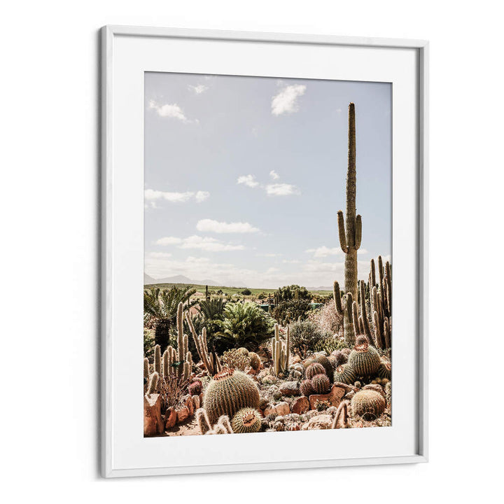 DESERT SYMPHONY , COWBOY framed WhiteMount print showing saguaro and barrel cacti in a modern Americana desert scene
