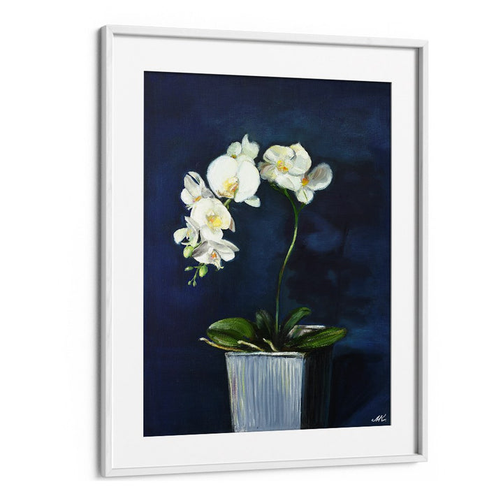 ELEGANT WHITE ORCHIDS