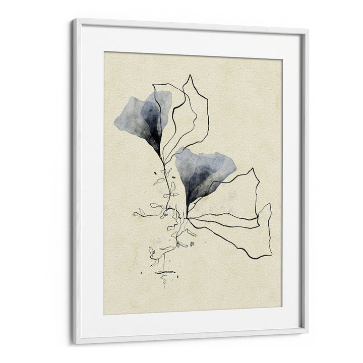ETHEREAL MARINE BOTANICALS