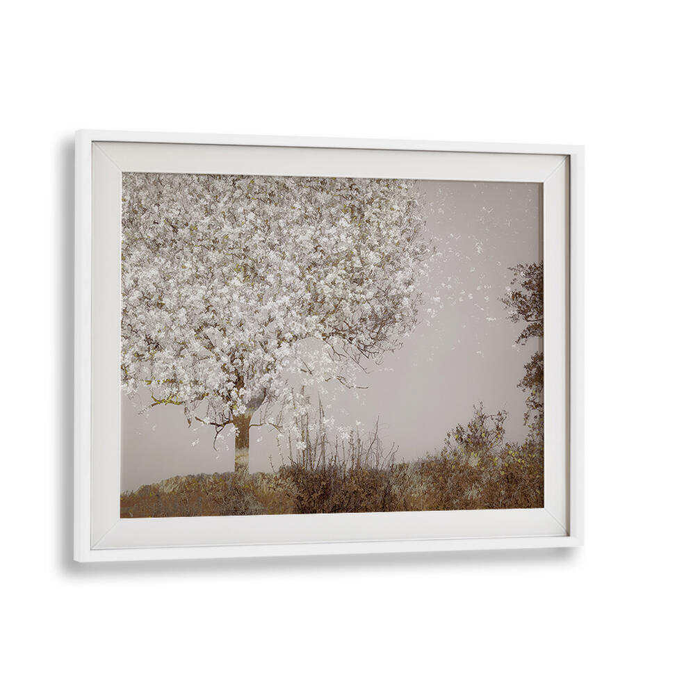 FRUIT TREE , FLORAL FLOWER PAINTINGS