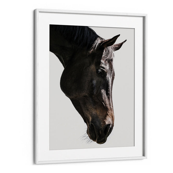 WhiteMount GENTLE EQUINE GAZE , ANIMAL PAINTINGS — framed minimalist portrait of a dark horse's calm profile