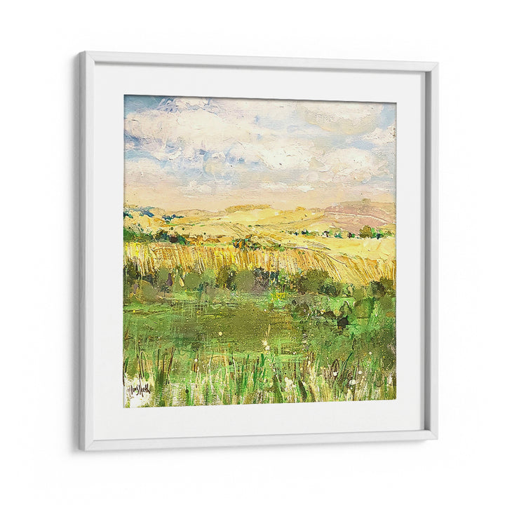 GOLDEN FIELDS AT DAWN