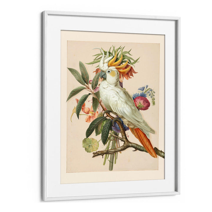 HENRIËTTA’S BIRD