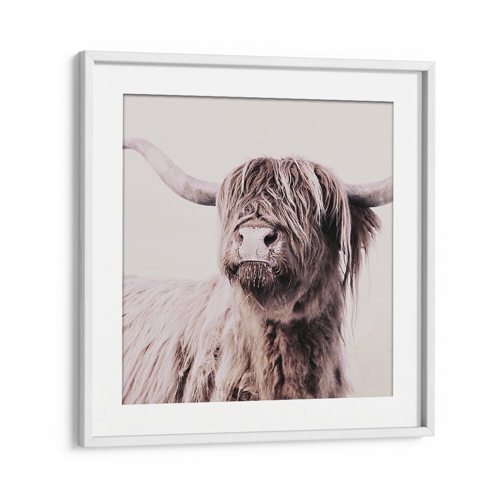 Highland Cattle Animal Paintings showcase stunning wildlife art, perfect for animal lovers and decor enthusiasts.