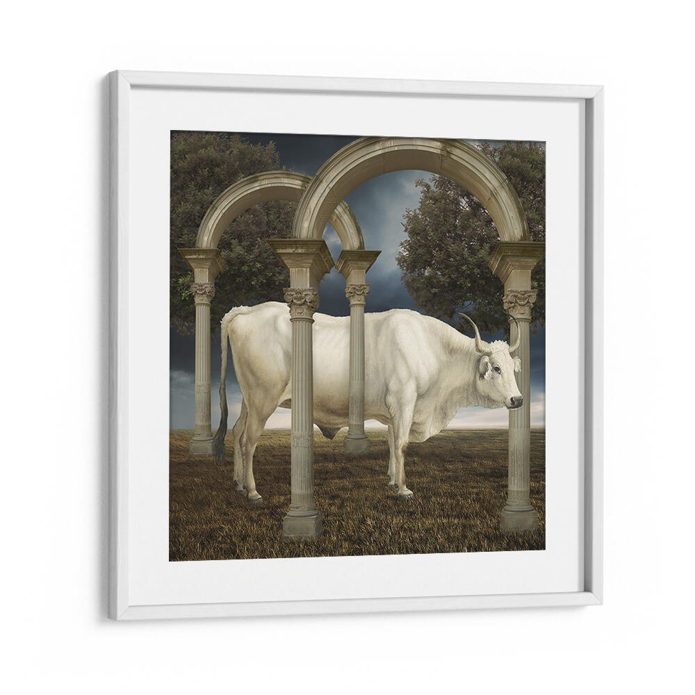 ILLUSIONNISME DE LA VACHE