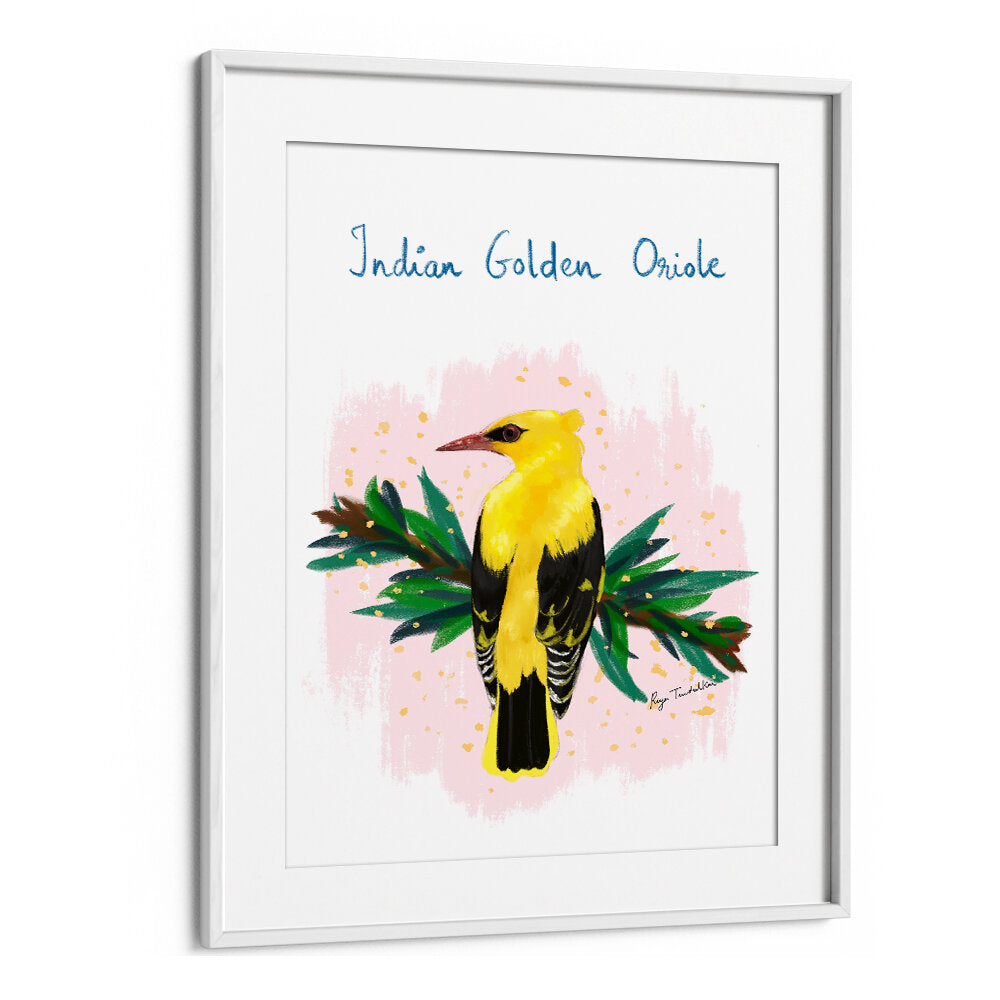 INDIAN GOLDEN ORIOLE