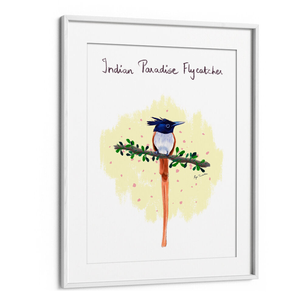 INDIAN PARADISE FLYCATCHER