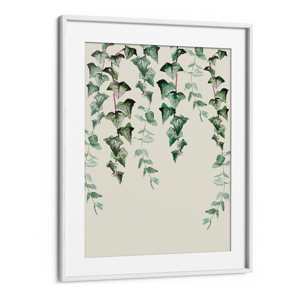 IVY Y EUCALYPTUS