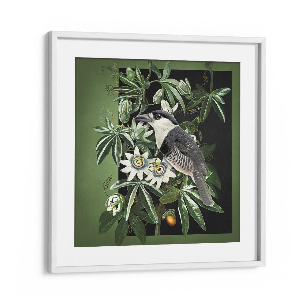 L'OISEAU ET LA PASSIFLORE