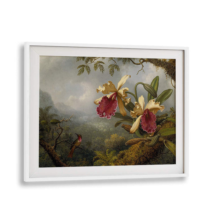 ORCHIDS AND HUMMINGBIRD , FLORAL FLOWER PAINTINGS