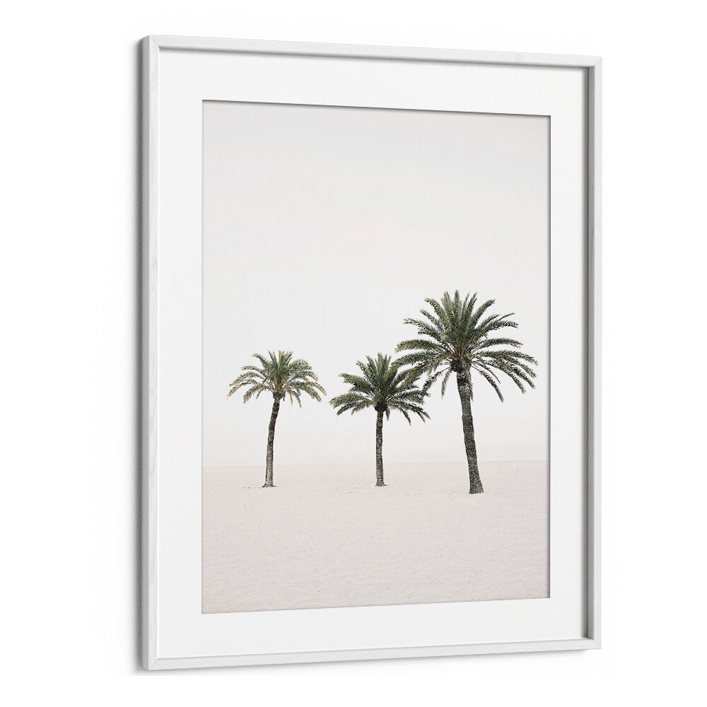 PALMS , BEACH PAINTINGS