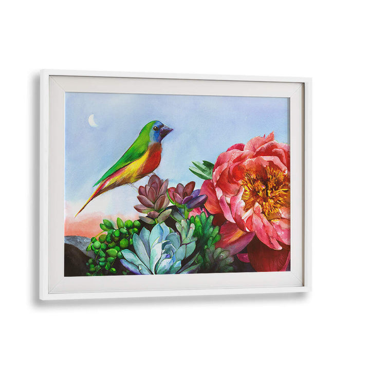 PARROT FINCH , ANIMAL PAINTINGS