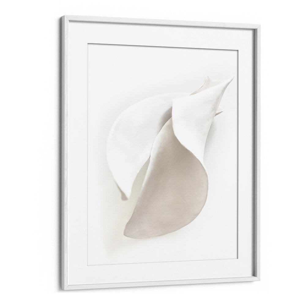 PETAL'S SILENCE , ORGANIC FORMS