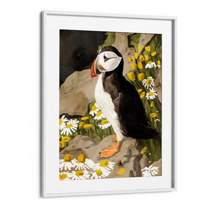 PUFFIN , ANIMAL PAINTINGS