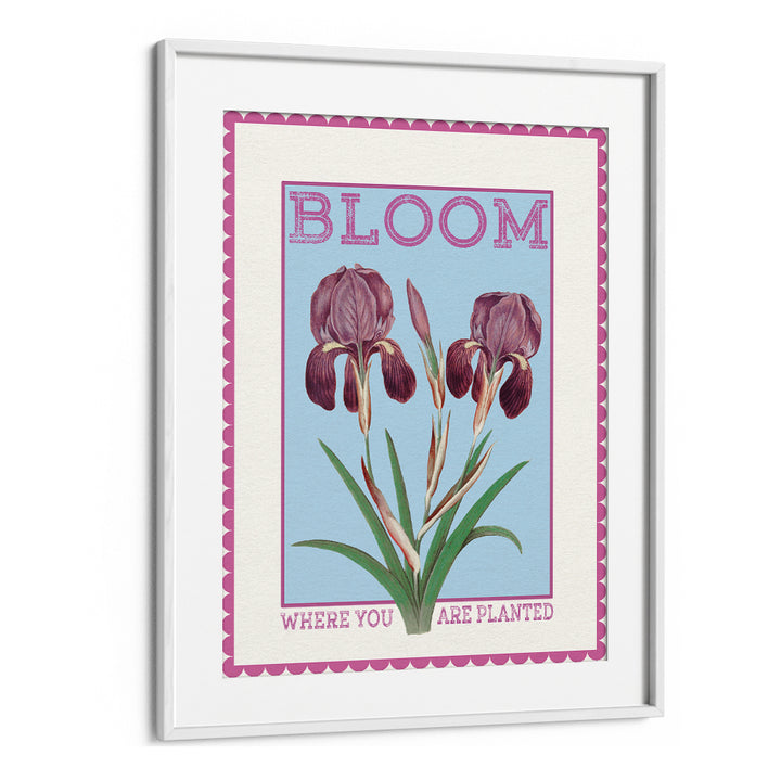 PURPLE IRISES BLOOM QUOTE