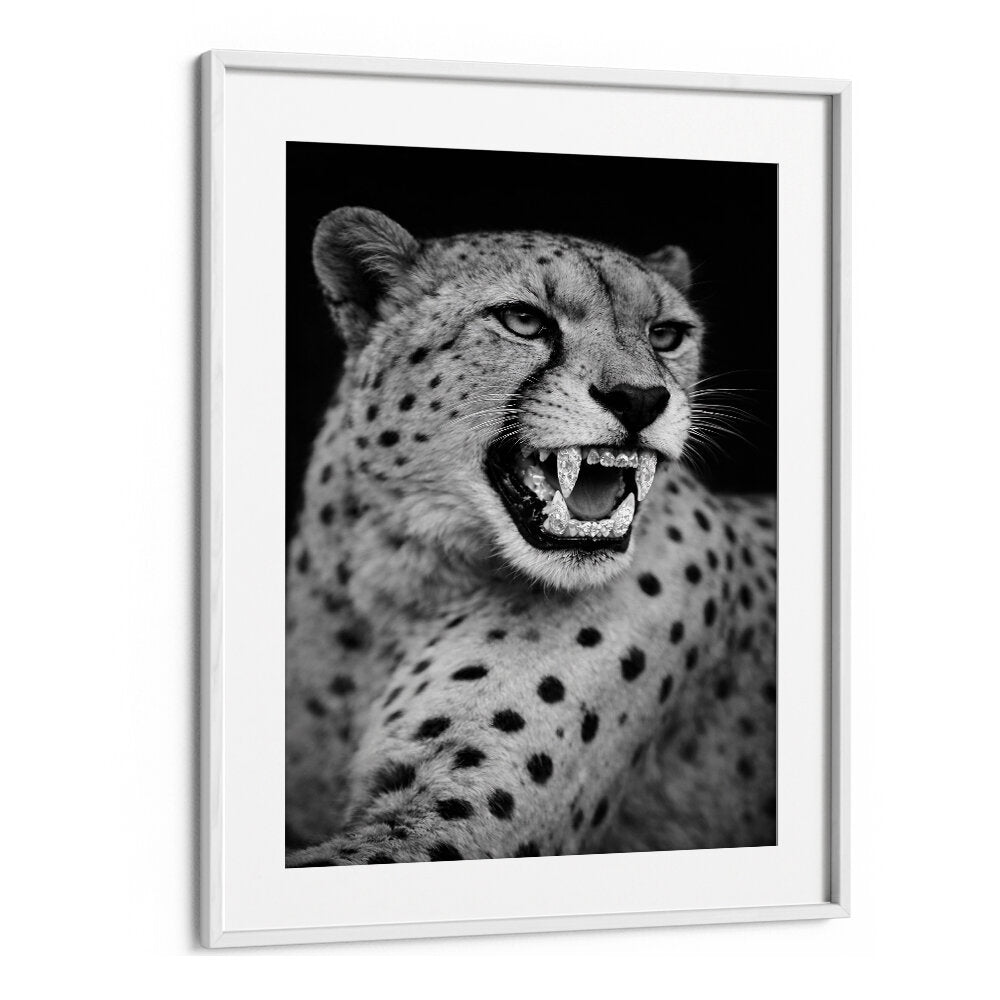 ROARING PREDATOR