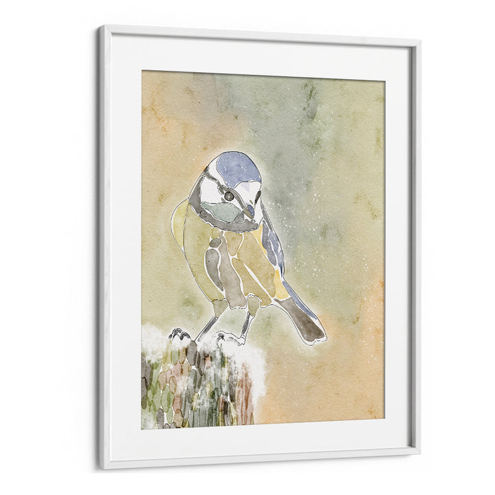 SNOWY BLUE TIT