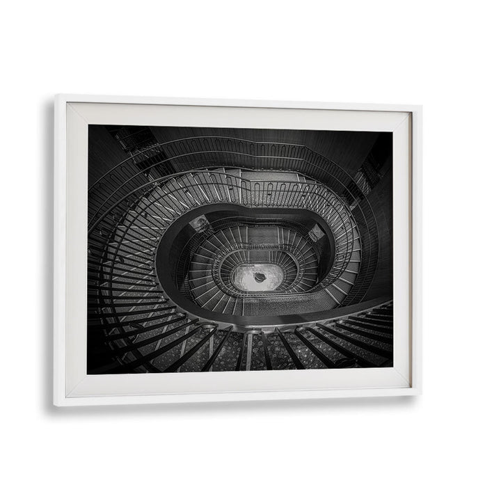 SPIRAL ELEGANCE II