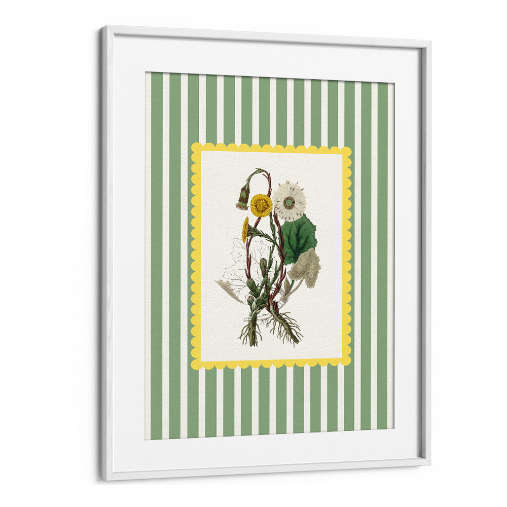 SPRING DANDELION STUDY