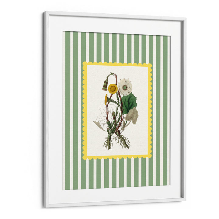 SPRING DANDELION STUDY