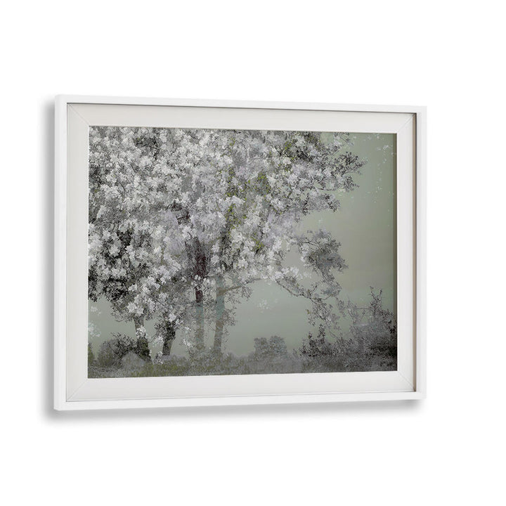 SPRING , FLORAL FLOWER PAINTINGS