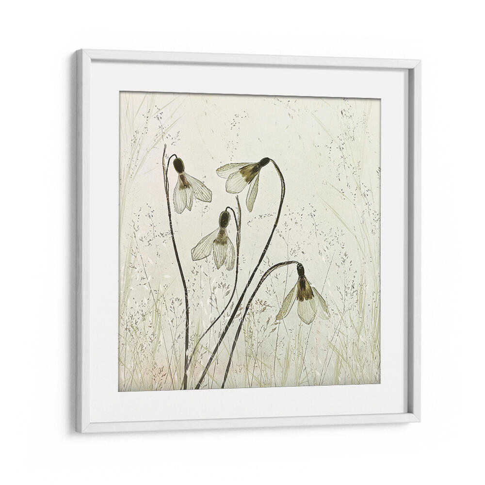 SPRINGTIME II , FLORAL FLOWER PAINTINGS