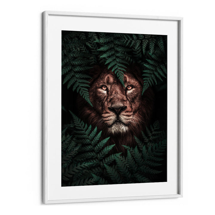 THE LION KING , ANIMAL PAINTINGS