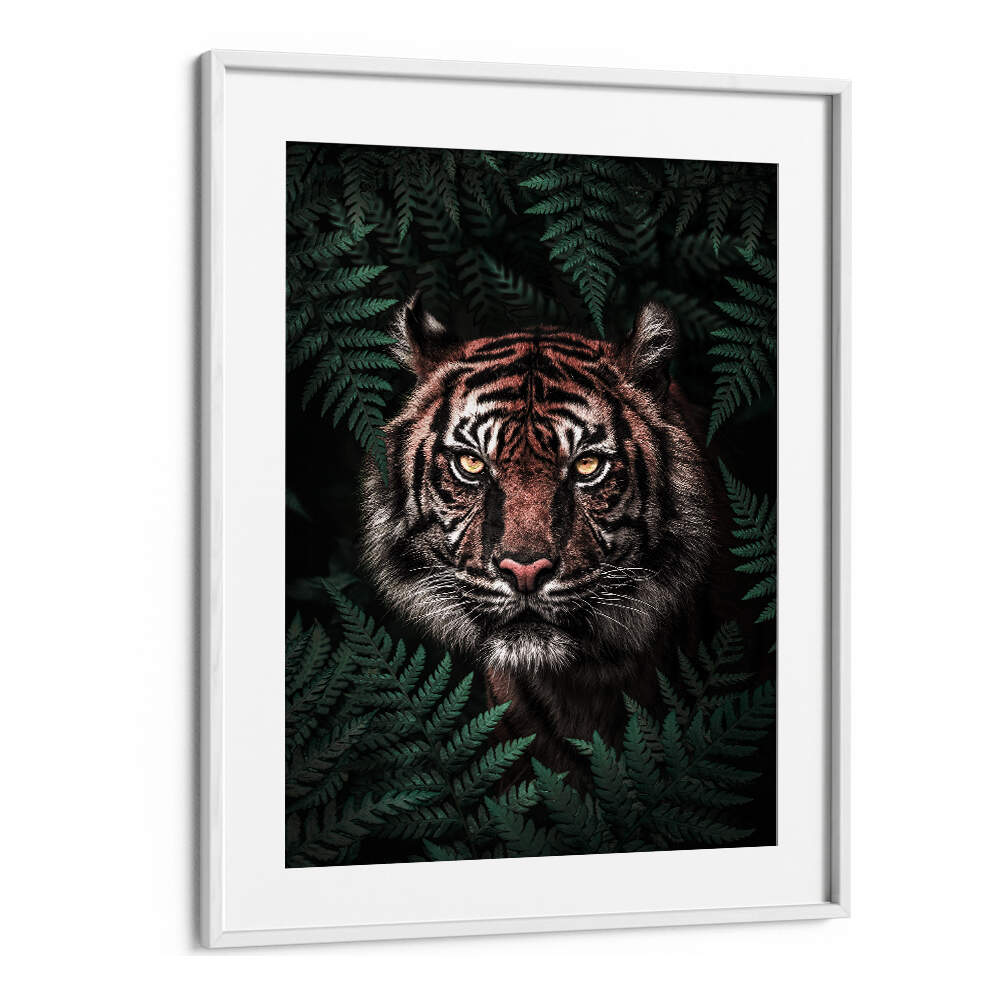 TIGER , ANIMAL PAINTINGS