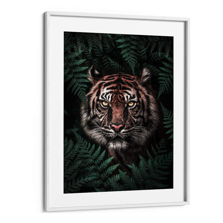 TIGER , ANIMAL PAINTINGS