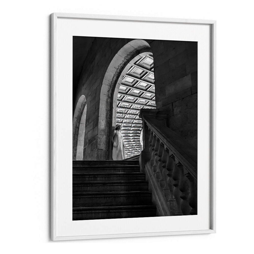 TIMELESS ARCHES