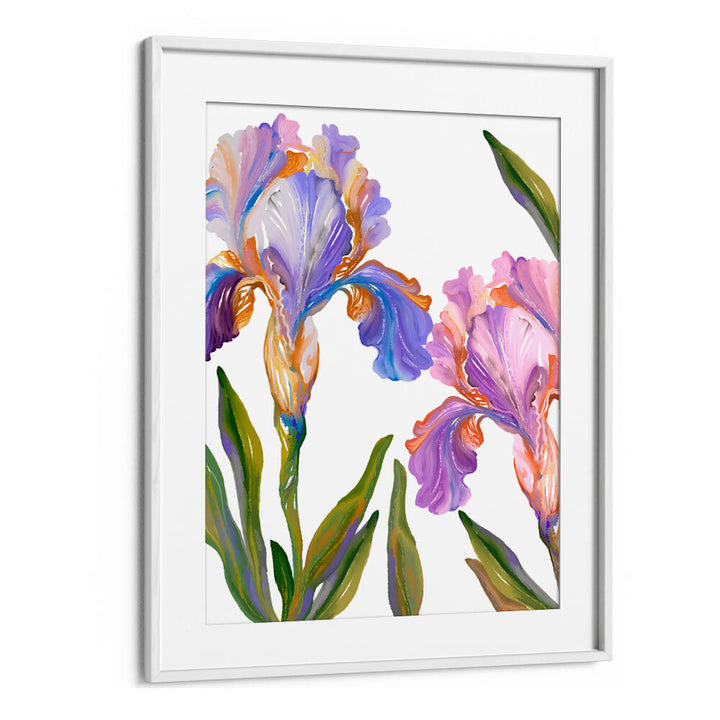 WATERCOLOR IRIS , FLORAL FLOWER PAINTINGS