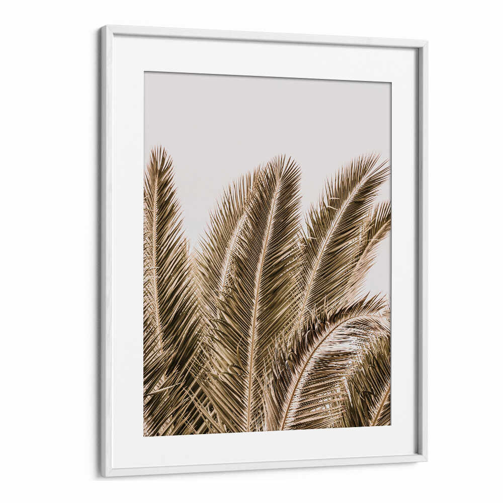 WINDSWEPT PALMS , BEACH PAINTINGS by WhiteMount — framed sepia palm fronds against a pale sky