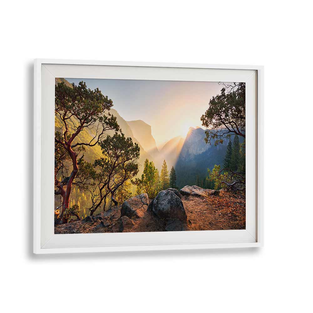 YOSEMITES SECRET BY STEFAN HEFELE , LANDSCAPE PHOTO PRINTS