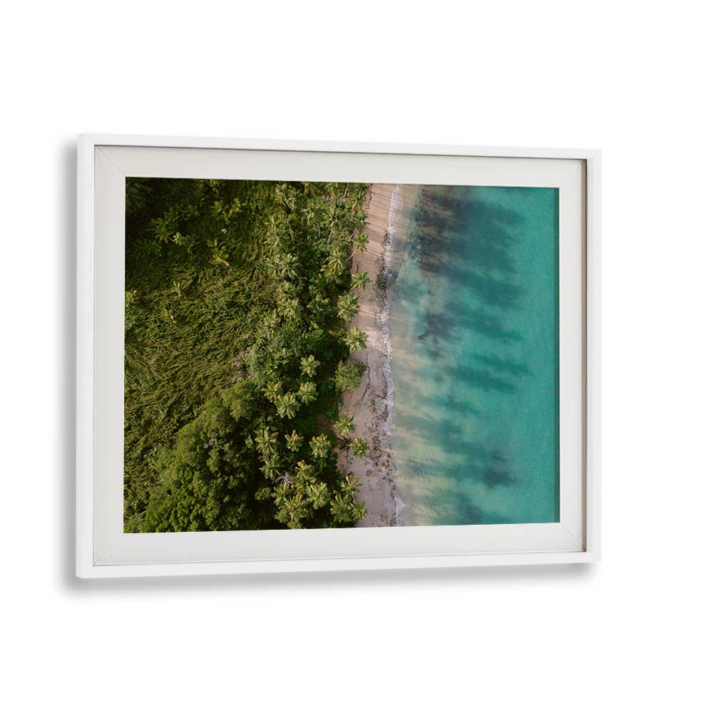 GREEN BEACH FROM ABOVE II BY RAISA ZWART , LANDSCAPE PHOTO PRINTS