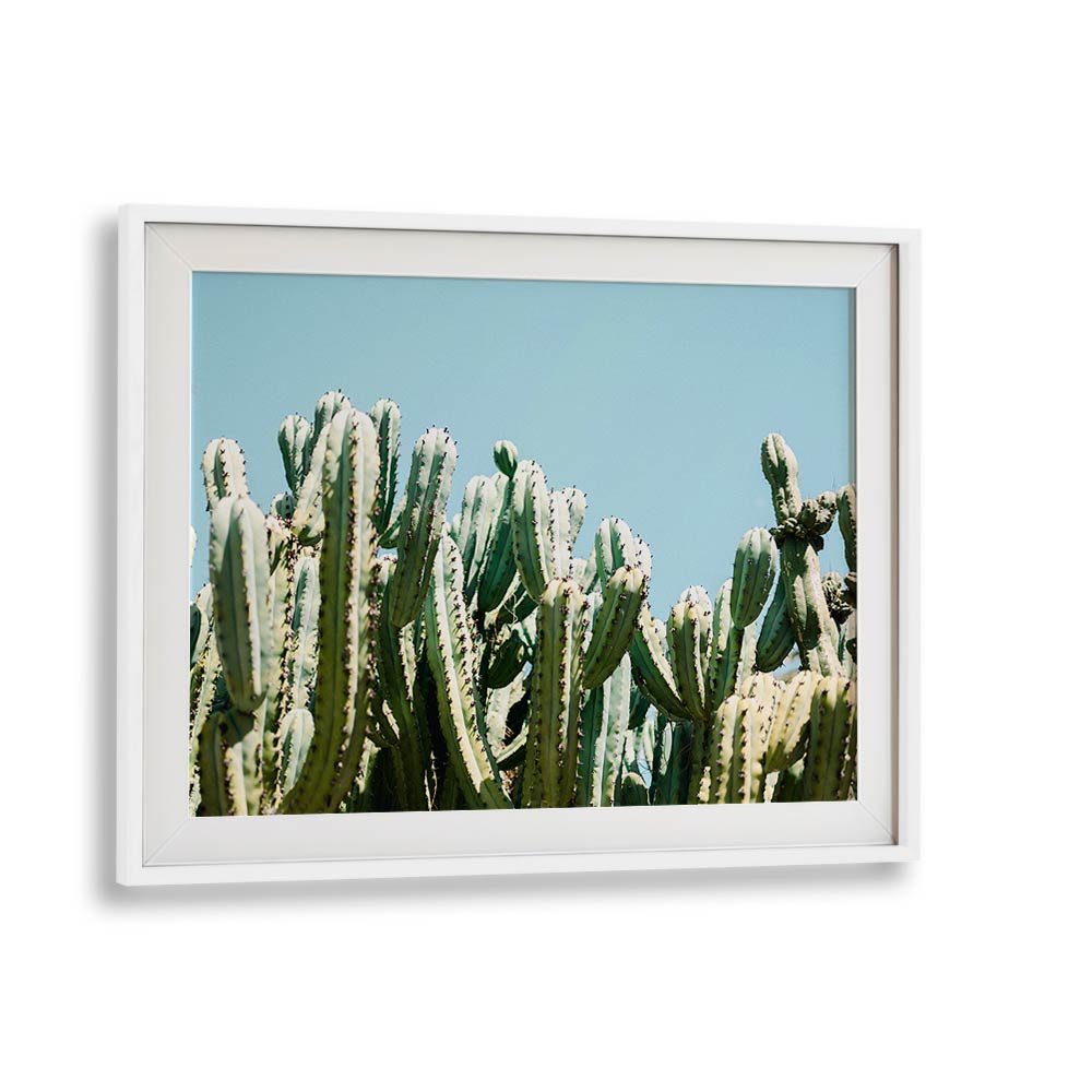 SOUTH OF SPAIN BY RAISA ZWART , LANDSCAPE PHOTO PRINTS