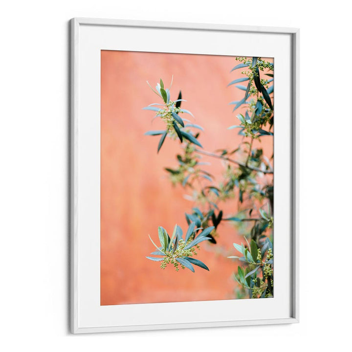 GREEN AND CORAL , PHOTOGRAPHY PRINTS