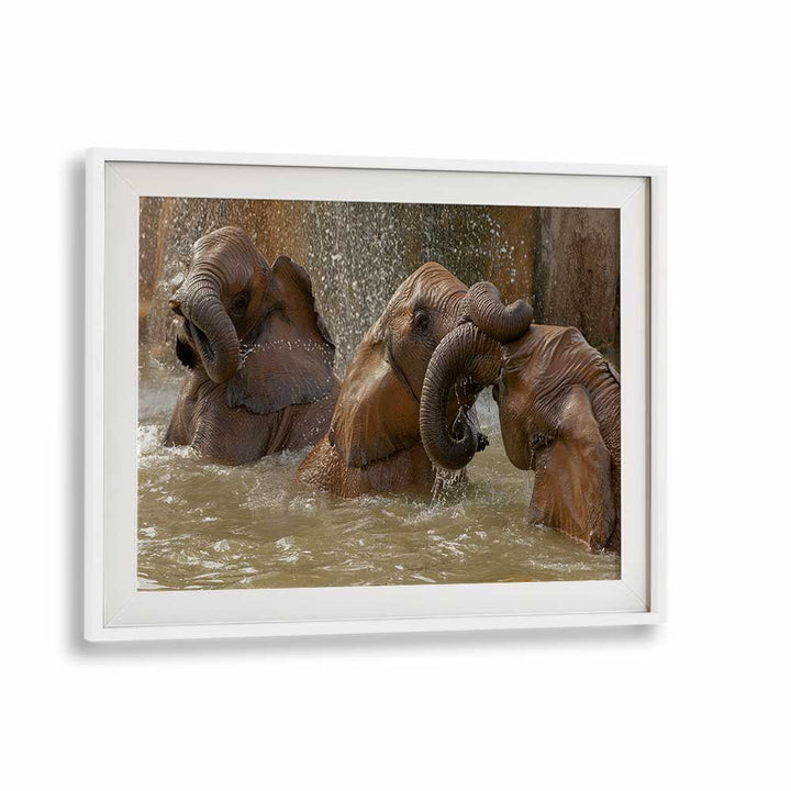 BATH TIME PLAY BY MARC PELISSIER , LANDSCAPE PHOTO PRINTS