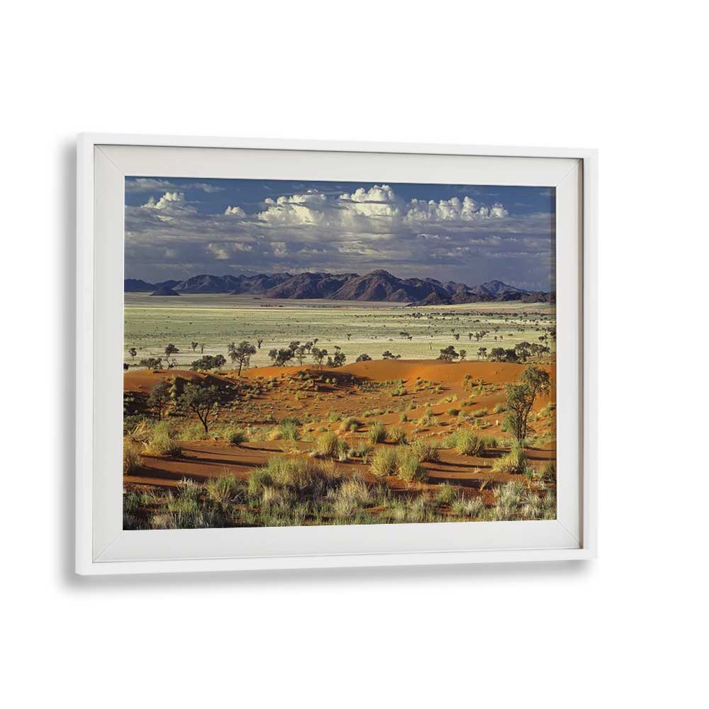 TOK TOKKIE DESERT , PHOTOGRAPHY PRINTS