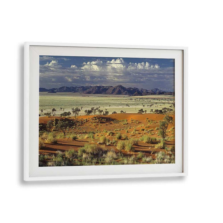 TOK TOKKIE DESERT , PHOTOGRAPHY PRINTS