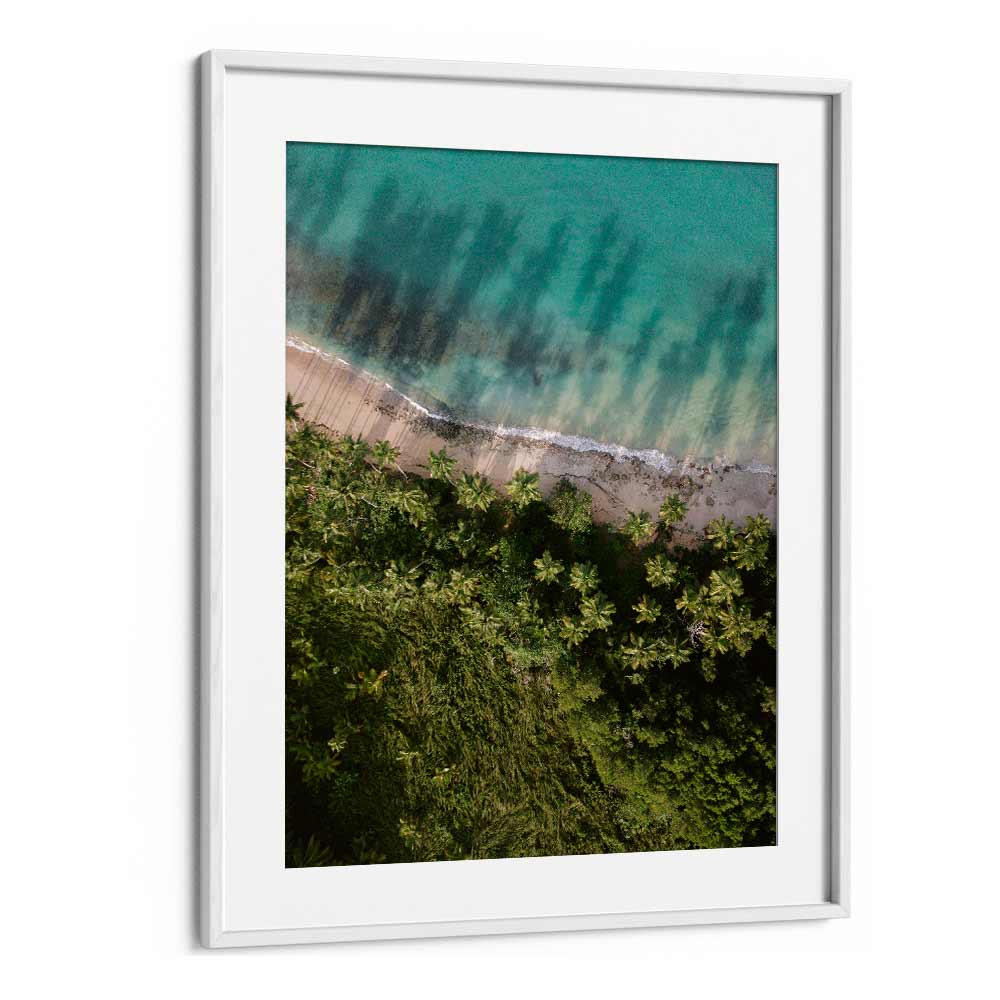 PALM BEACH FROM ABOVE  BY RAISA ZWART , LANDSCAPE PHOTO PRINTS