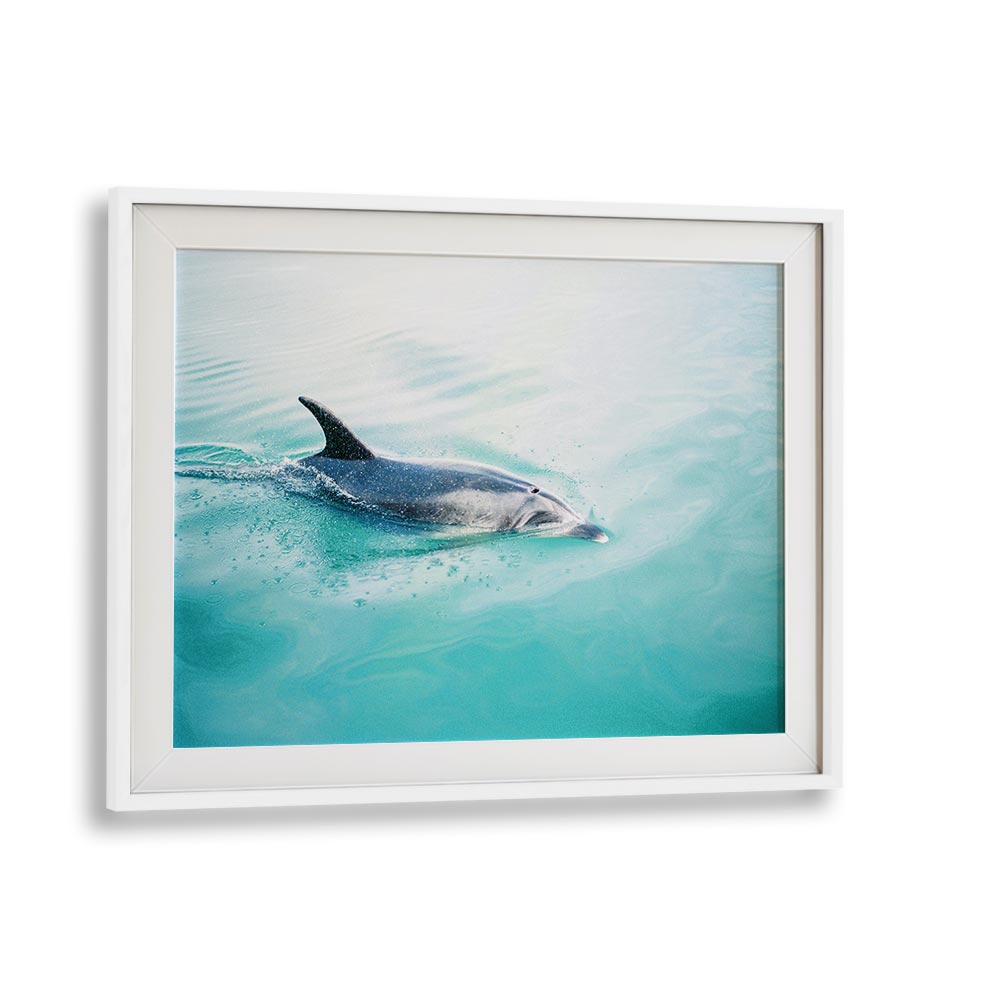 DOLPHIN N.Z. NORTHERN BY RAISA ZWART , LANDSCAPE PHOTO PRINTS