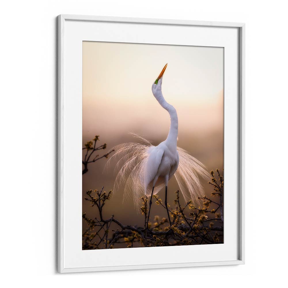 SOLO DANCE , LANDSCAPE PHOTO PRINTS , LANDSCAPE PHOTOGRAPHY