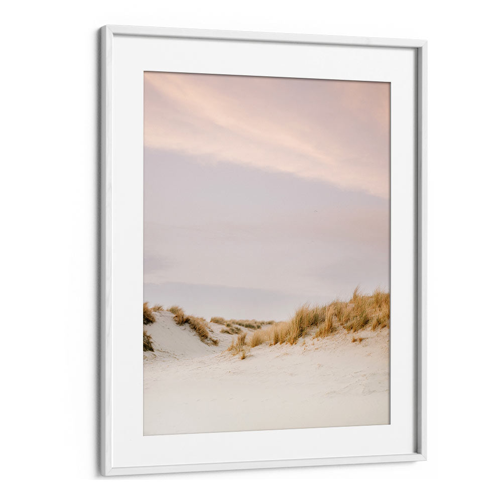 AMELAND DUNES III , PHOTOGRAPHY PRINTS