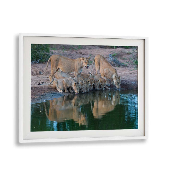 THE FAMILY II BY MARC PELISSIER , LANDSCAPE PHOTO PRINTS