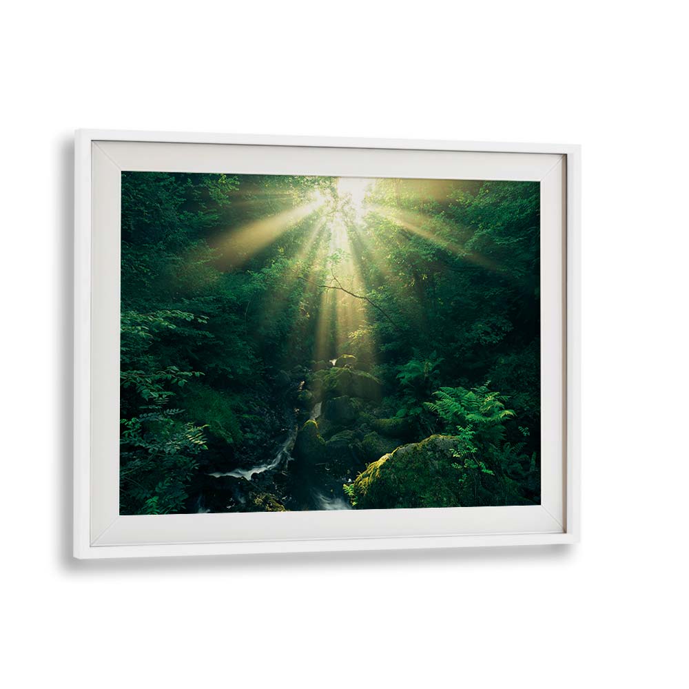 GREEN RAYS BY STEFAN HEFELE , LANDSCAPE PHOTO PRINTS