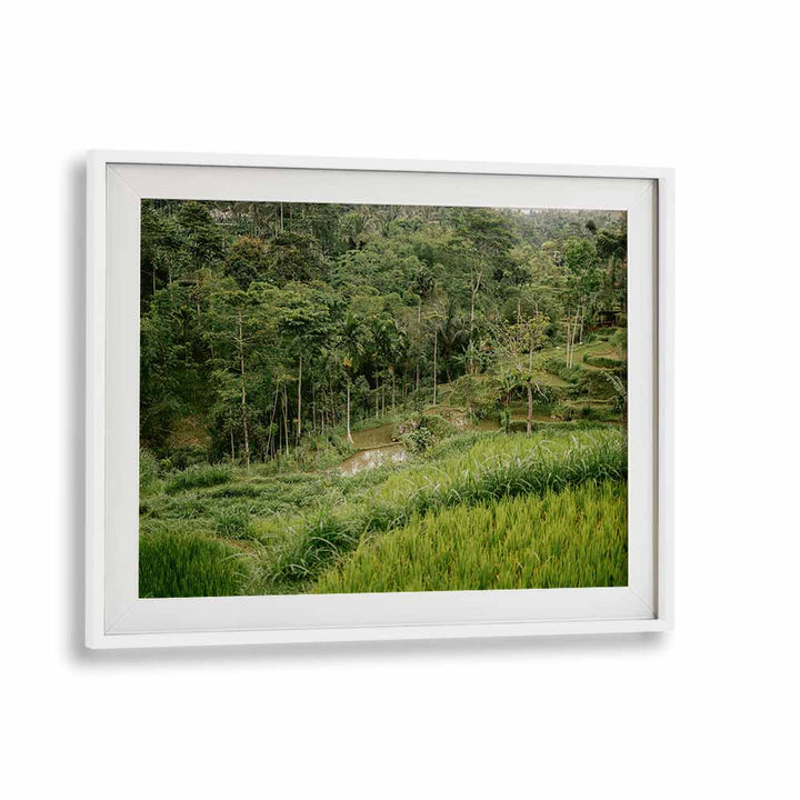 TETEBATU LOMBOK , LANDSCAPE PHOTO PRINTS , LANDSCAPE PHOTOGRAPHY