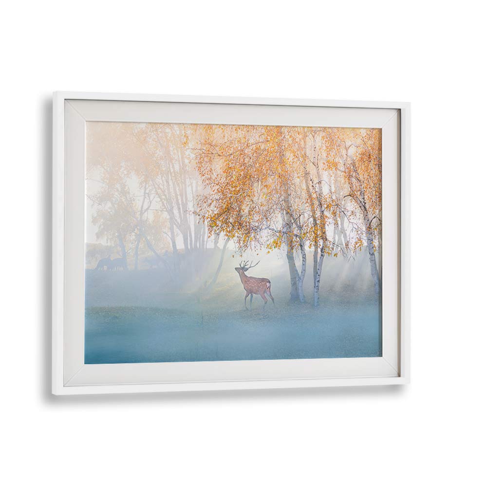 ELK LOST IN MIST BY SIMOON , LANDSCAPE PHOTO PRINTS