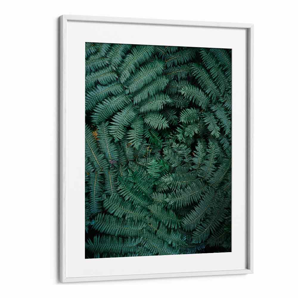 GREEN LEAVES , PHOTOGRAPHY PRINTS