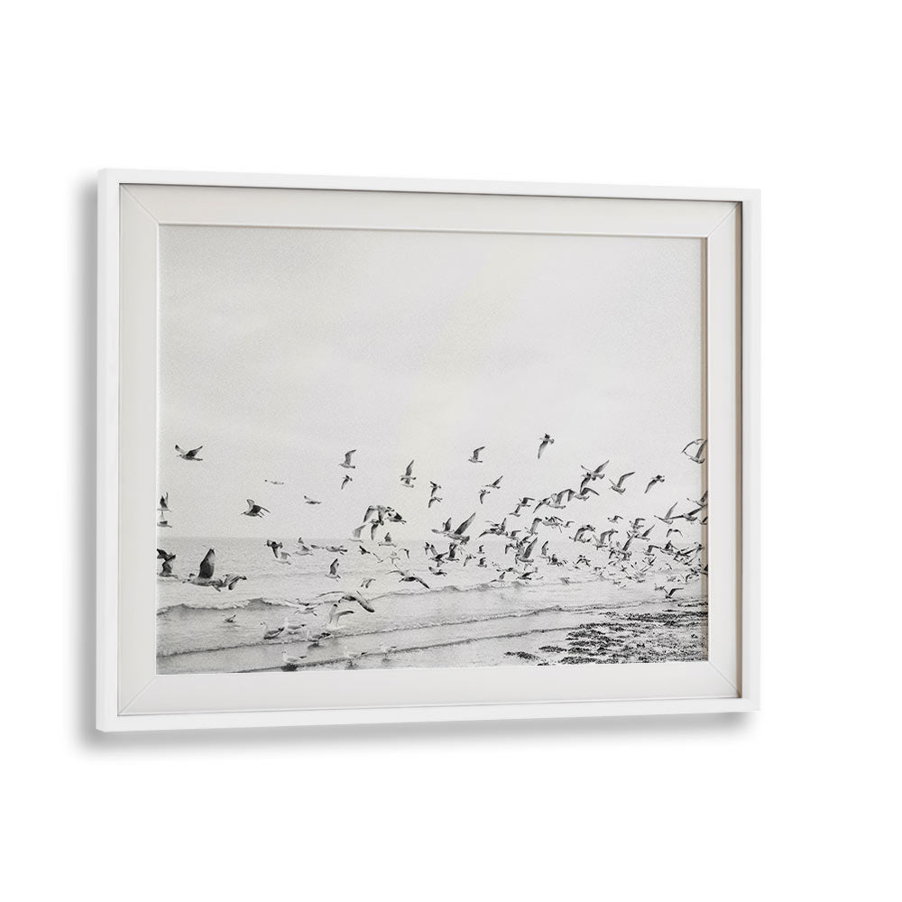 SEAGULLS - COASTAL BLACK AND WHITE BY RAISA ZWART , LANDSCAPE PHOTO PRINTS