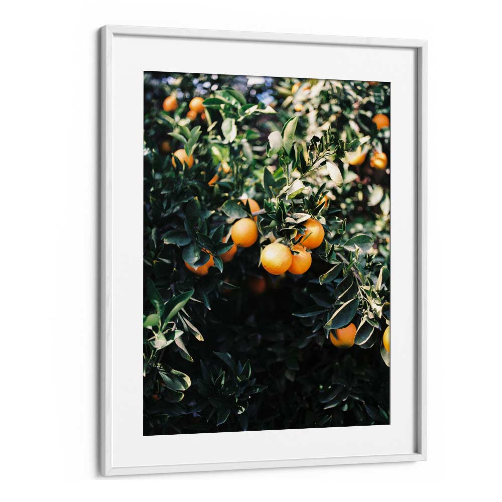 MARRAKESH ORANGES , PHOTOGRAPHY PRINTS